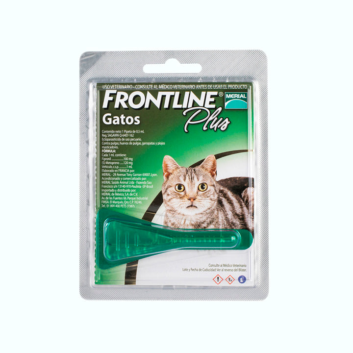ANTIPULGAS FRONTLINE PLUS GATO PIPETA