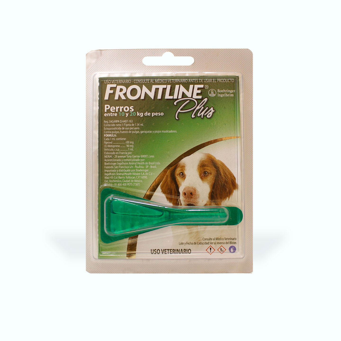 ANTIPULGAS FRONTLINE PLUS 1 PIPETA PERRO