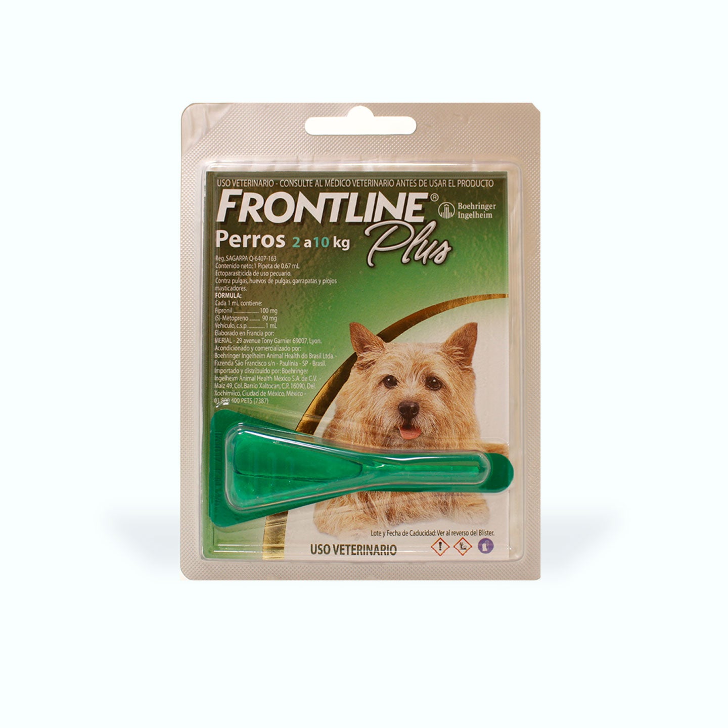 ANTIPULGAS FRONTLINE PLUS 1 PIPETA PERRO
