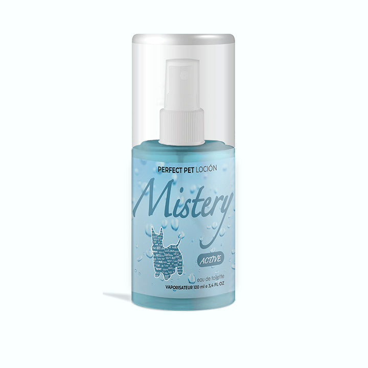 FRAGANCIA MISTERY PARA MACHO 10 ML
