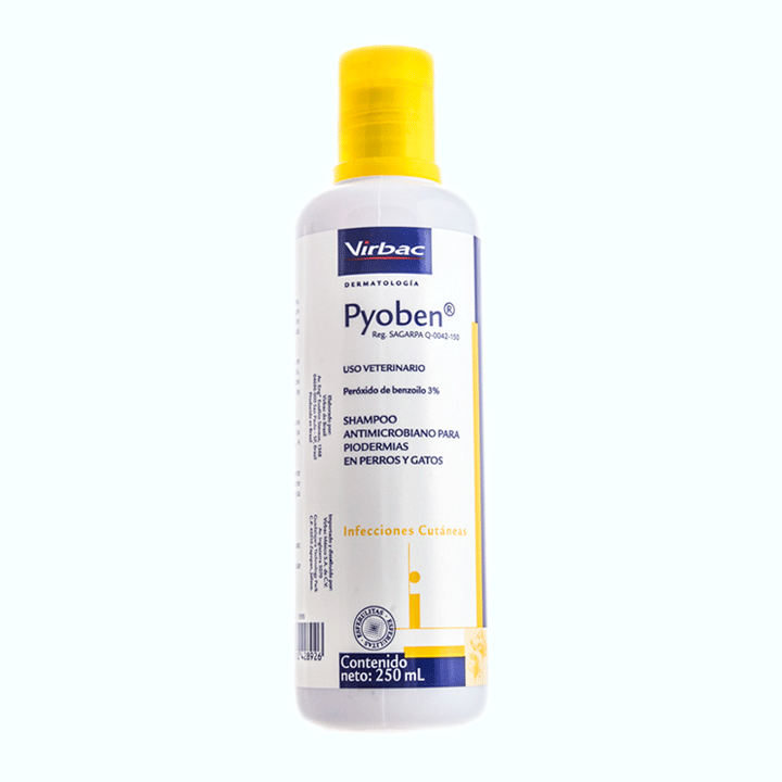 ANTIINFECCIOSO PYOBEN FCO. 250 ML