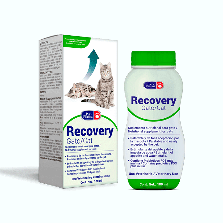 Recovery Gato 180 ml. – TayPets