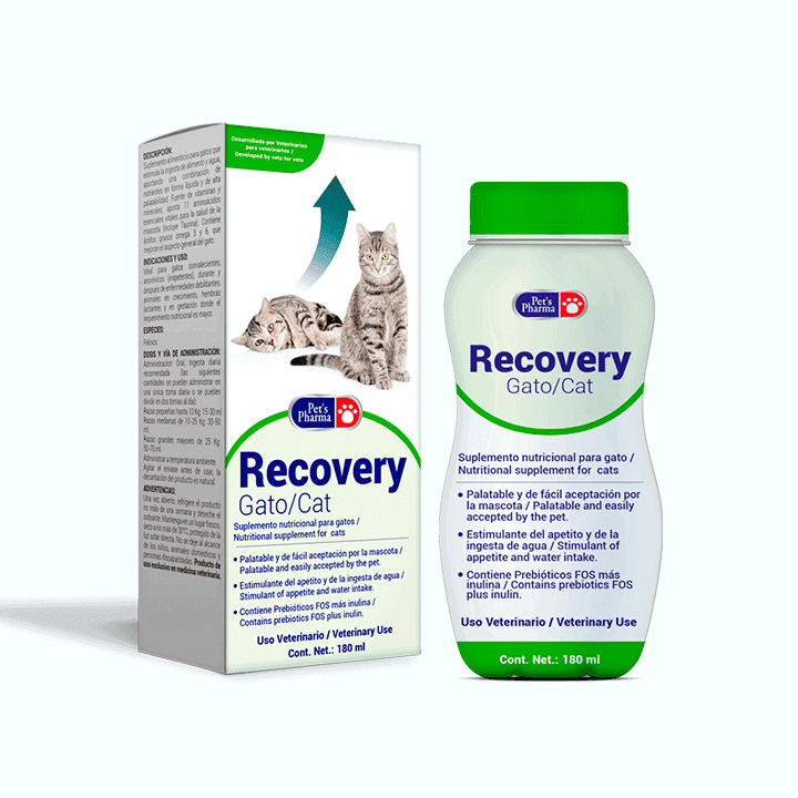 RECOVERY GATO 180 ML