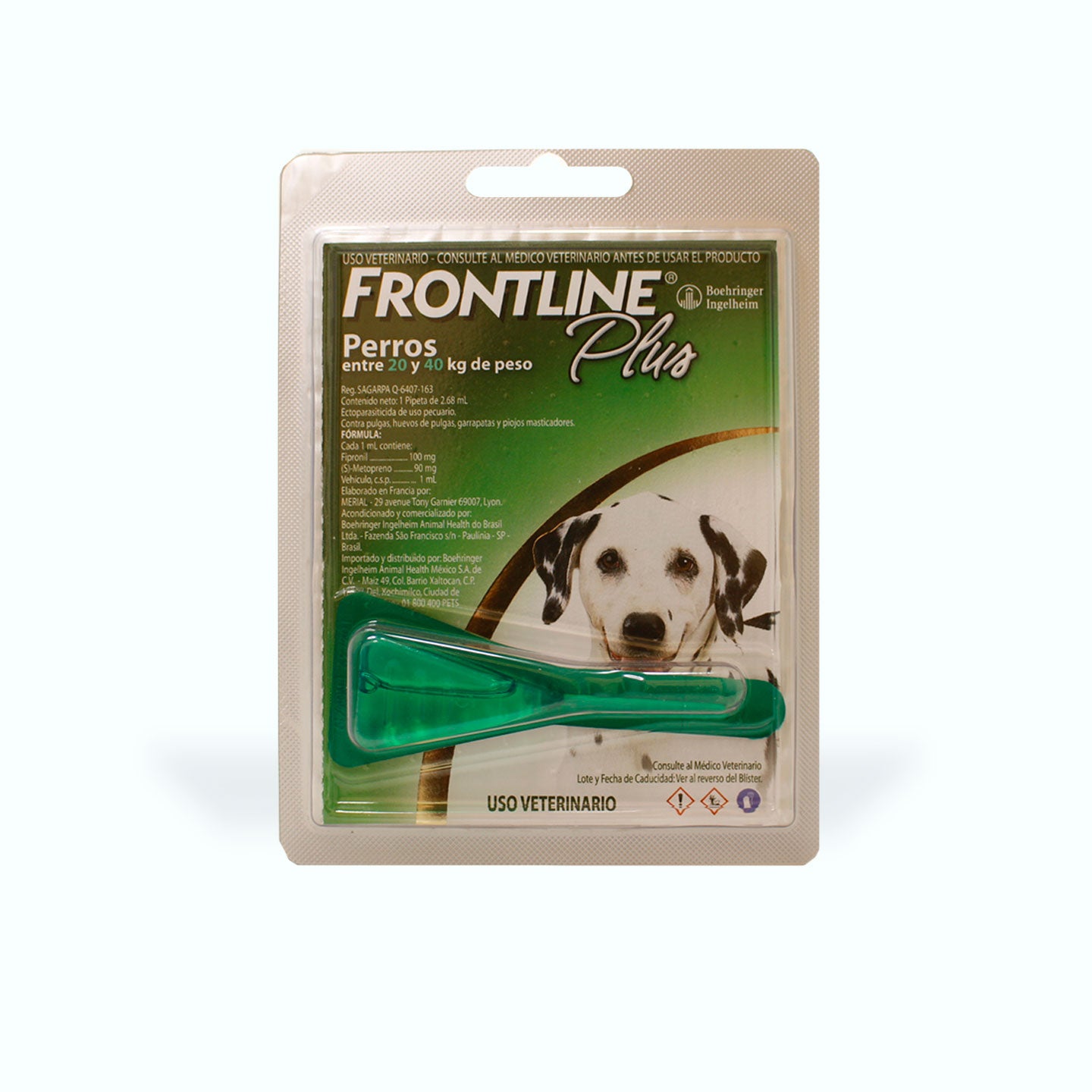 ANTIPULGAS FRONTLINE PLUS 1 PIPETA PERRO
