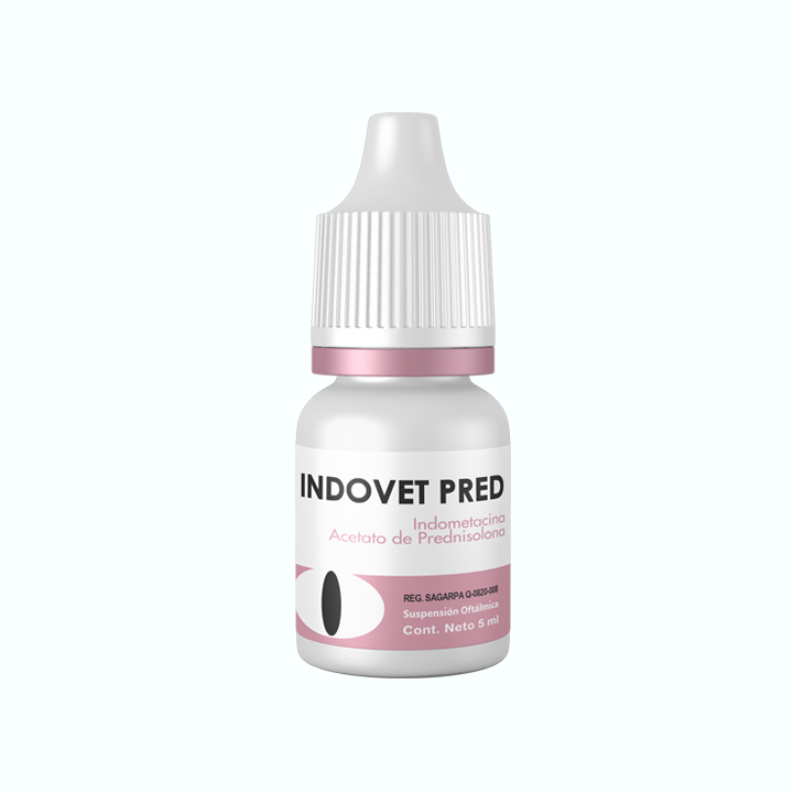 ANTIINFLAMATORIO ESTEROIDAL INDOVET PRED SUSPENSIÓN