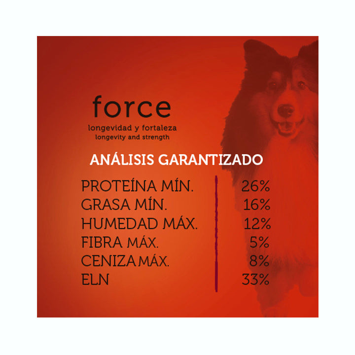 ALIMENTO CARNE FRESCA FORCE