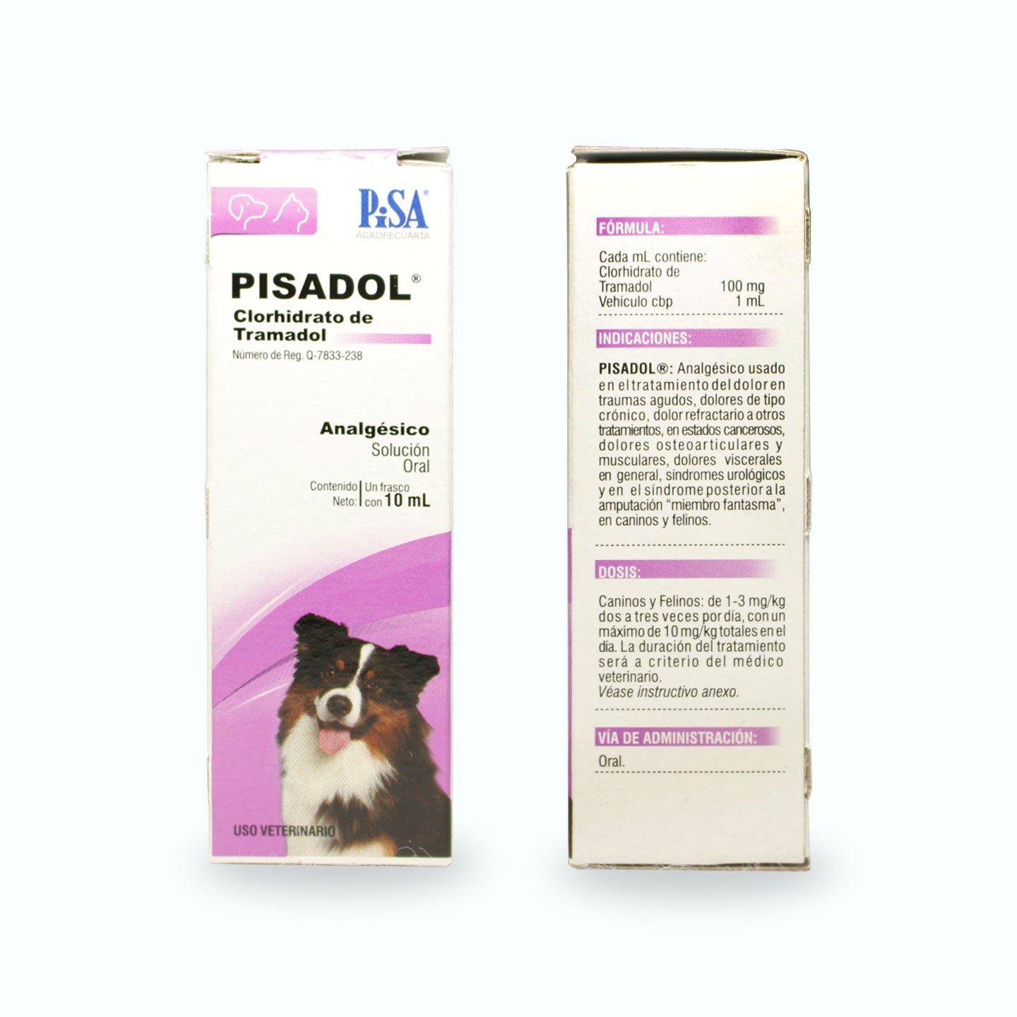 ANTIINFLAMATORIO PISADOL 100 MG SOL. ORAL 10 ML